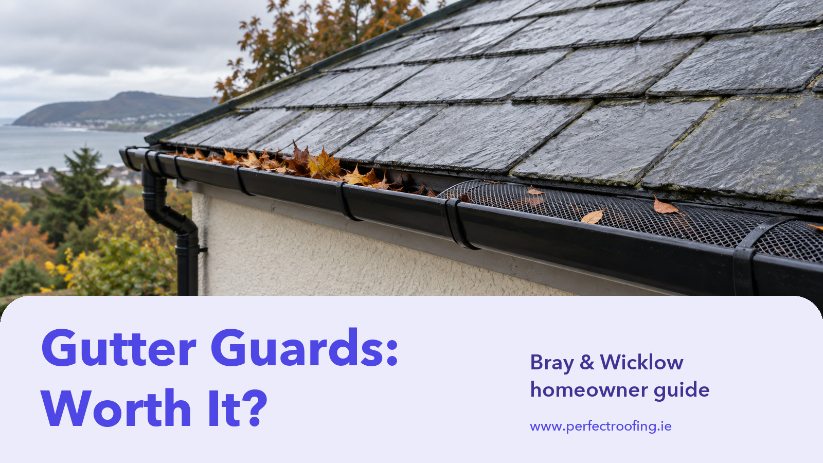 Are Gutter Guards Worth It for Bray and Wicklow Homes?